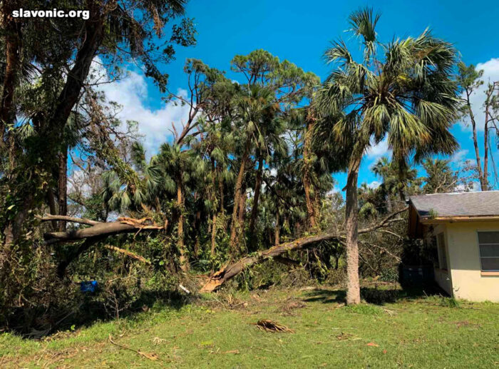 Miraculous Survival Of The Florida Orthodox Monastery During Hurricane Ian