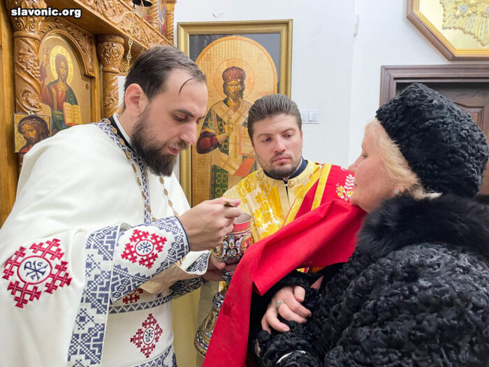 Vicar of the Slavic Vicariate of America Visits the Exarch of the Romanian Church