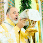 Епископ Назианзийский Афинагор