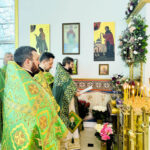 Храмовый праздник собора святой Матроны в Майами возглавил Патриарший экзарх Мальты